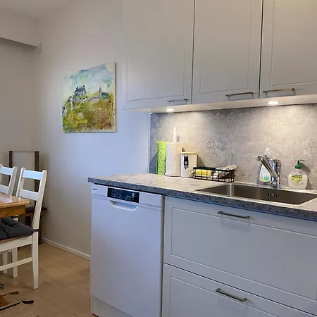 Private Sauna & Free Parking Spacious 1br Near Airport No Elevator Apartment